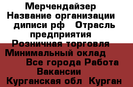 Мерчендайзер › Название организации ­ диписи.рф › Отрасль предприятия ­ Розничная торговля › Минимальный оклад ­ 25 000 - Все города Работа » Вакансии   . Курганская обл.,Курган г.